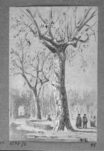 Dibuix - Passeig d’arbres en un parc amb figures (Barcelona?) -