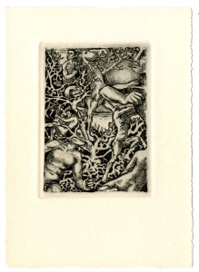 10979-G_Maria-Josepa-Colom_