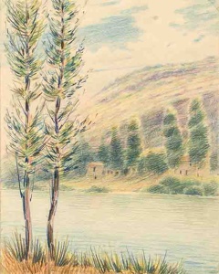 5292 D_Francesc de Paula Nebot_sm