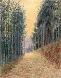 5293 D_Francesc de Paula Nebot_sm