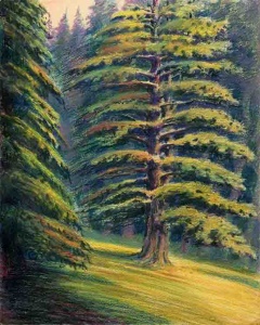 5338 D_Francesc de Paula Nebot_sm