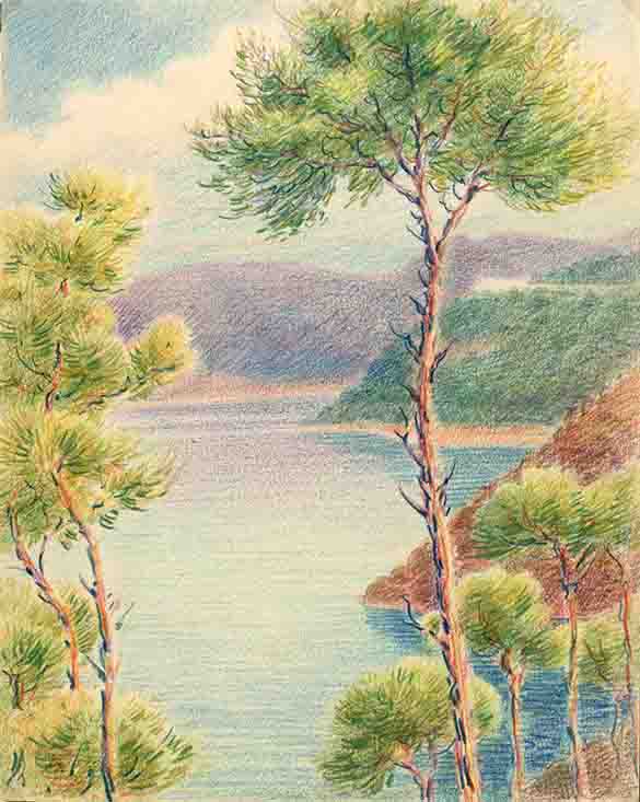 5339 D_Francesc de Paula Nebot_sm