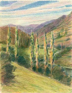 5377 D_Francesc de Paula Nebot