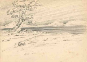 5380 D_Francesc de Paula Nebot